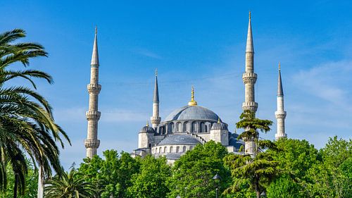 Blauwe Moskee in Istanboel, Turkije