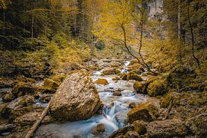 Herbst im Appenzellerland, warme Farben entlang eines Bergbachs