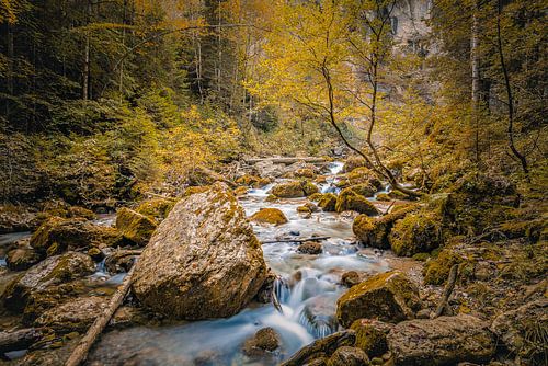Herfst in het Appenzellerland, warme kleuren langs een bergbeek