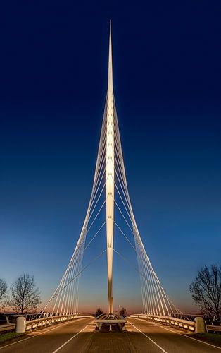 Harp brug van Calatrava, Nederland