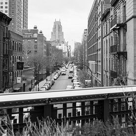 High Line, NYC 2017 by Emma Groenenboom