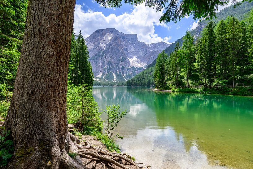 Pragser Wildsee of Lago di Braies in de Dolomieten van Sjoerd van der Wal Fotografie