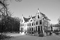 Staverden in de sneeuw