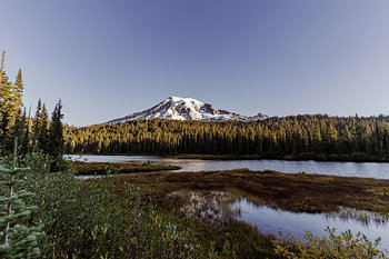 Reflection Lake und Mount Rainier