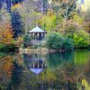Waldsee Freiburg in de herfst van Patrick Lohmüller