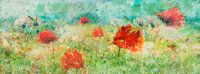 Relaxed Poppy field by Fine Art Flower - Artist Sander van Laar thumbnail