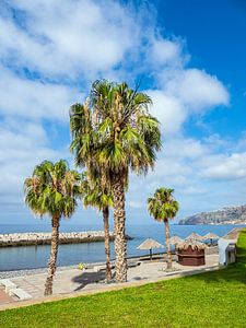 Promenade in Ribeira Brava auf der Insel Madeira, Portugal
