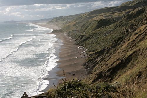 Coast New Zealand