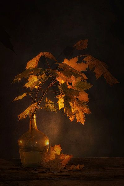 Ephemere Schönheit.Herbststillleben . von Saskia Dingemans Awarded Photographer