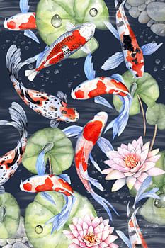 fish koi carp