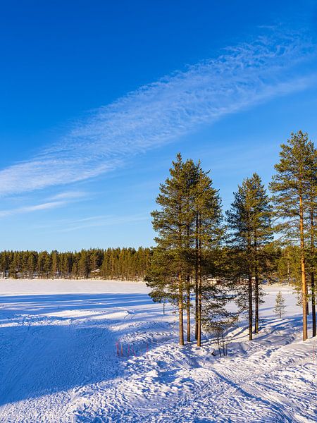 Landschap met sneeuw in de winter in Kuusamo, Finland van Rico Ködder