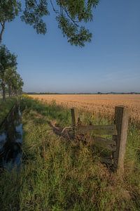Holländische Landschaft von Moetwil en van Dijk - Fotografie
