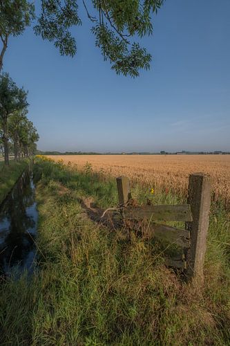 Hollands landschap