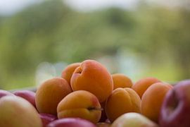 Fruit by Hans Winterink