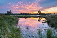 Kleurrijke zonsondergang op de heide met spiegeling in het water par Sjaak den Breeje Aperçu