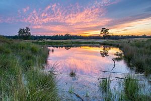 Kleurrijke zonsondergang op de heide met spiegeling in het water sur Sjaak den Breeje