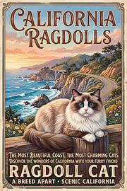 De Ragdoll-kat