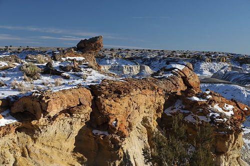 De-na-zin wildernis gebied- versteend hout, Bisti Badlands, New Mexico USA