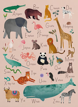 ABC ANIMAL