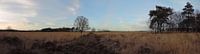 panorama, winter op de heide
