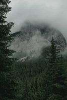Fog in the Gaistal 1 - 2024