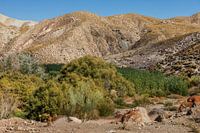 Een oase in het landschap van Gorafe parque Temático in Spanje