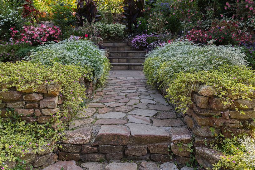 garden with lot of flowers and plants at both sides of the path with stones and steps by ChrisWillemsen
