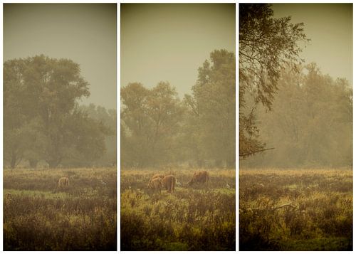 triptyque lauwersmeer 26
