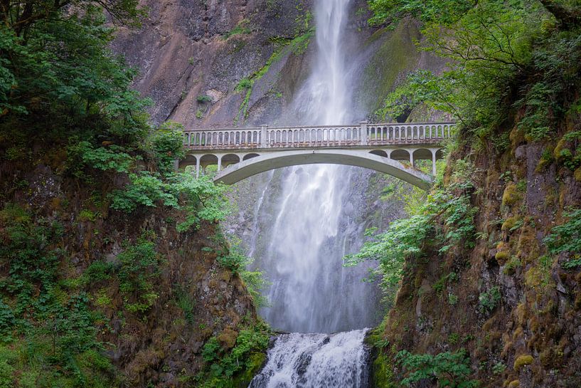Multnomah Falls van Tashina van Zwam