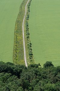 Ein Weg führt durch grüne Felder