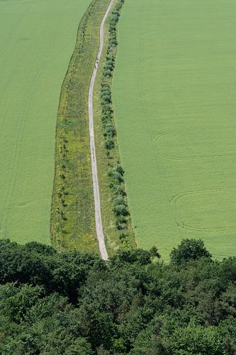A path leads through green fields