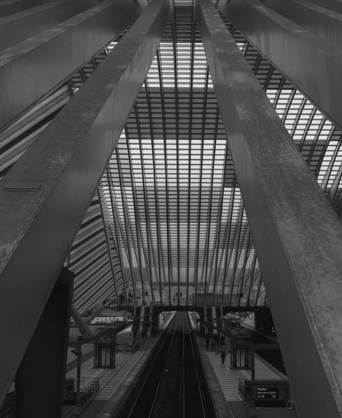 Modern Treinstation Luik-Guillemins van MDRN HOME