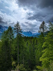 Vue sur la montagne
