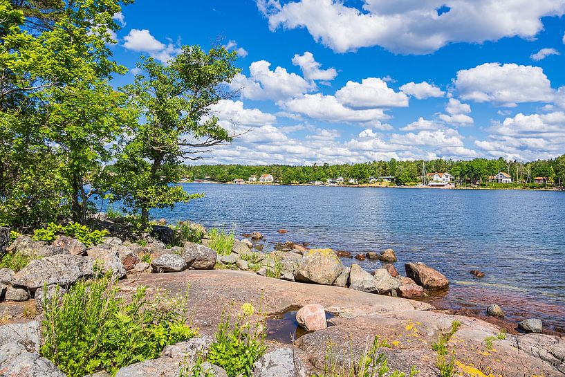 Baltic coast with rocks and trees on island Uvö in swed by Rico Ködder