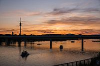 Sonnenuntergang über der Donau