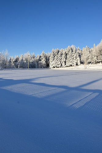 Het recreatieterrein in de winter