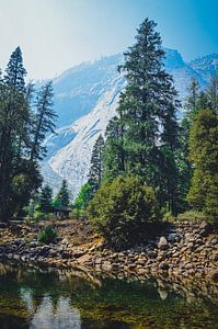 Parc national de Yosemite, Amérique