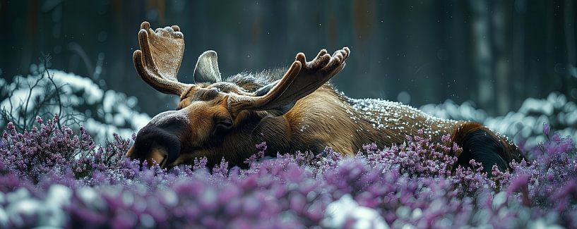 L'élan en hibernation par ByNoukk
