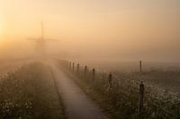 Dutch windmill