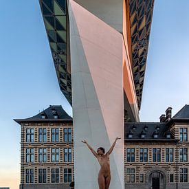 Saba en het Havenhuis 3 van Wil Crooymans