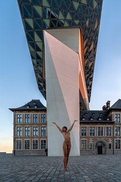 Saba en het Havenhuis 3 van Wil Crooymans