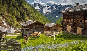 Hutten op de Oberstalleralm (1.870 m) in het achterste Villgratental van Christian Müringer