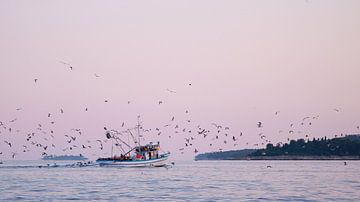Vögel über Wasser am Morgen von Laura Vink