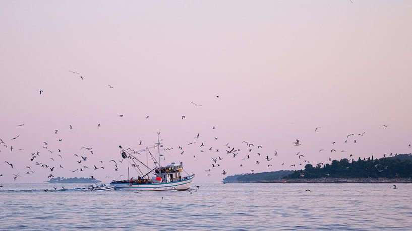 Early morning birds van Laura Vink