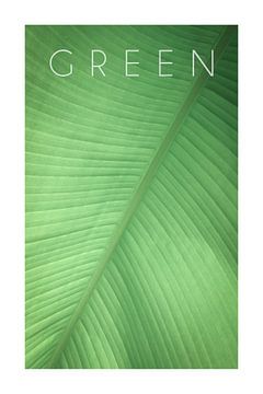 Green 01