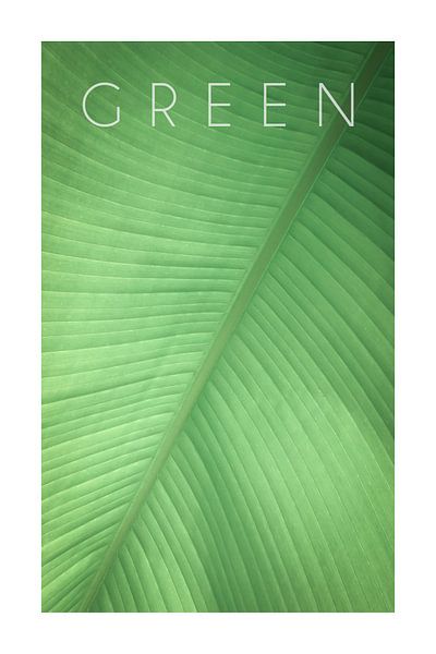 Green 01 by Christian Müringer