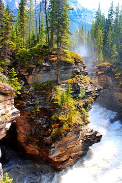 Maligne Canyon in Jasper National Park van Thomas Zacharias