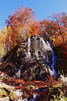 De Radau waterval in het Harz gebergte