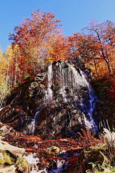 The Radau waterfall in the Harz Mountains by Nature and More - Photography