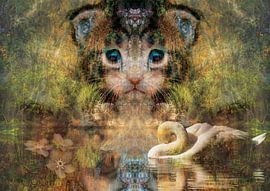 Süße Harmonie von Andreas Schulte